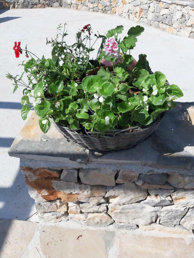 פרימוסטן Peaceful Home Olea Oblica מראה חיצוני תמונה